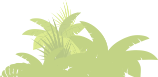 bush2