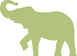elephant vector